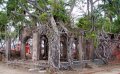 Ross Island and North Bay Island (Coral Island) Tour